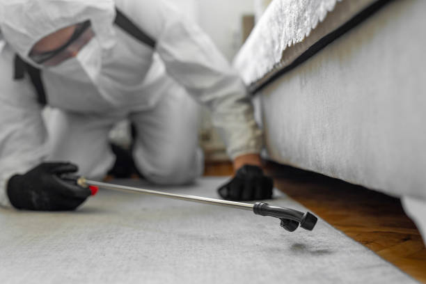 Professional Termite Control technician working in Elgin, IL