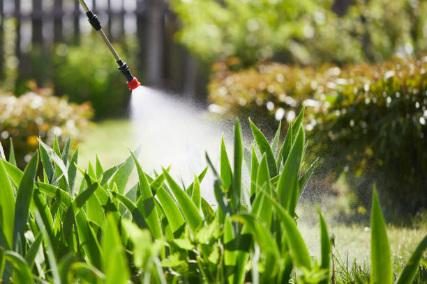 24/7 Emergency Termite Control experts in Elgin, IL